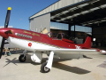 Papa 51 Thunder Mustang