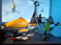 Wallis WA-116 Agile