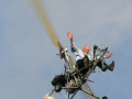 Wallis WA-116 Agile