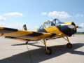Zlín Z-37A C-3 Bumblebee