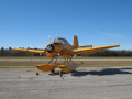 Zlín NZ-37 Bumblebee